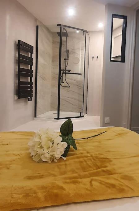 Suite Vinicole Hypercentre, Bastille & Gare 9 Min A Pied Grenoble Exterior foto